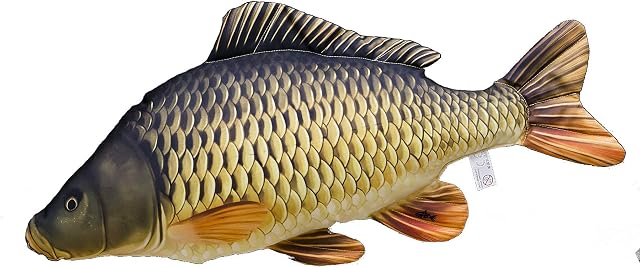 GABY Fish Pillows Common Carp Cushion, Multi-Colour, Medium