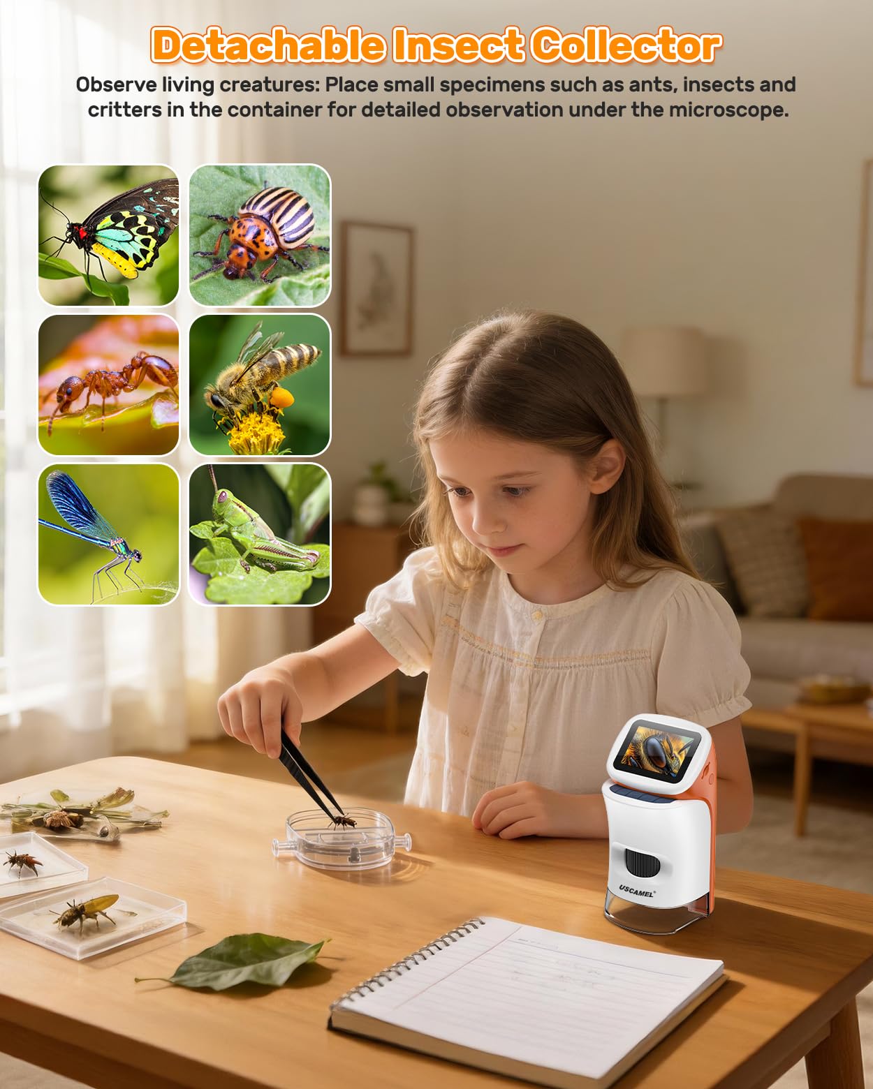 Microscopio para niños con pie: microscopios digitales de mano 100-1000x: Pantalla LCD 4K 2.0 Pulgadas USB portátil Microscopio de bolsillo, con kits científicos, 15 diapositivas, tarjeta de memoria