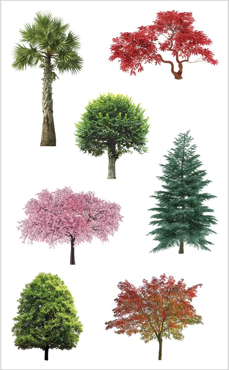 Mrs Grossman's Sticker, Trees In Nature