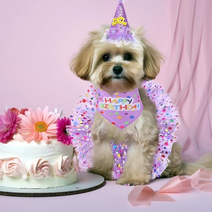 Bandana para Perro con Gorro y Vestido - Talla Única - Púrpura miniatura 7