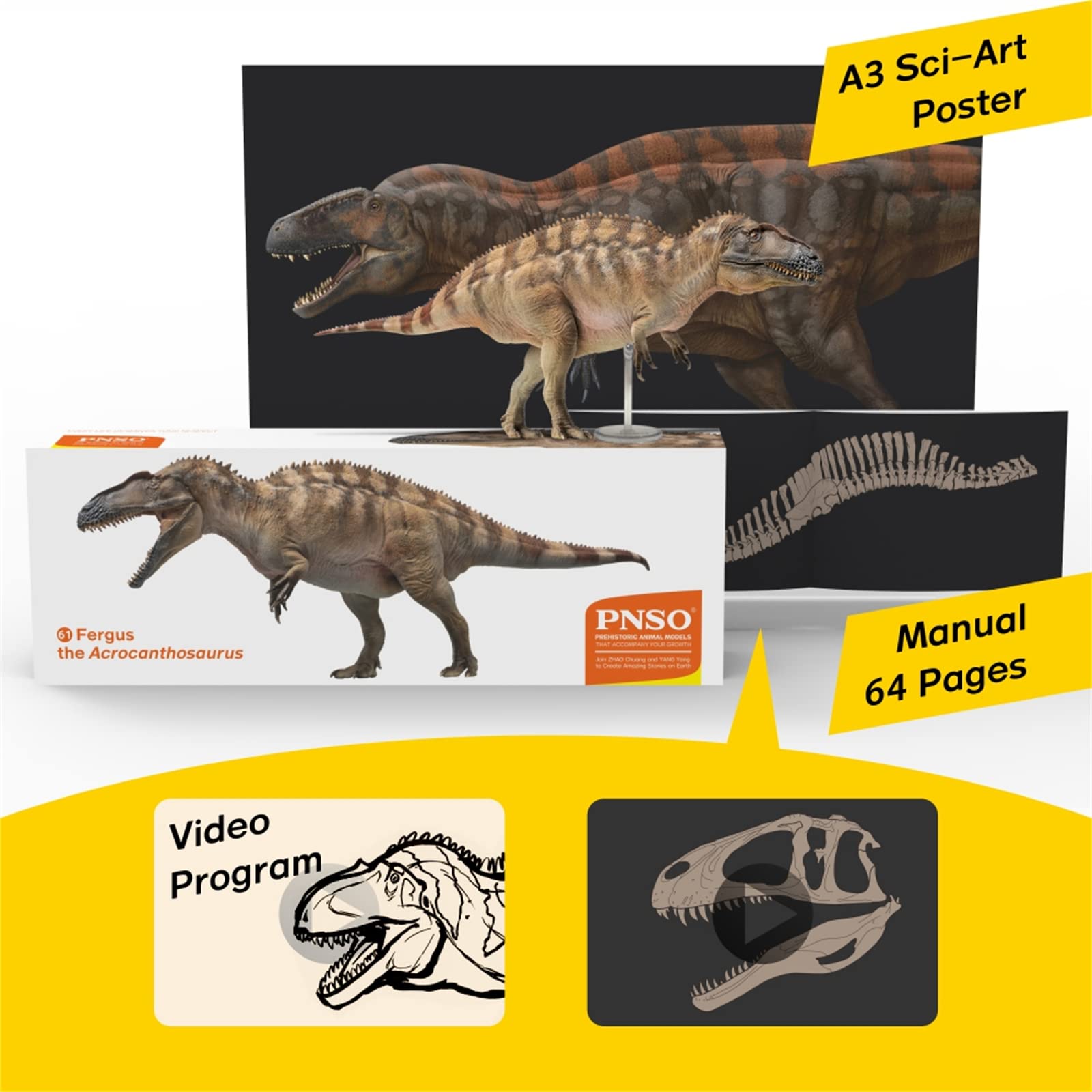 AMITD 61 Fergus Acrocanthosaurus Figure Carcharodontosauridae Dinosaur Art Model Realistic Prehistoric Animal PVC Decoration Gift for Adult