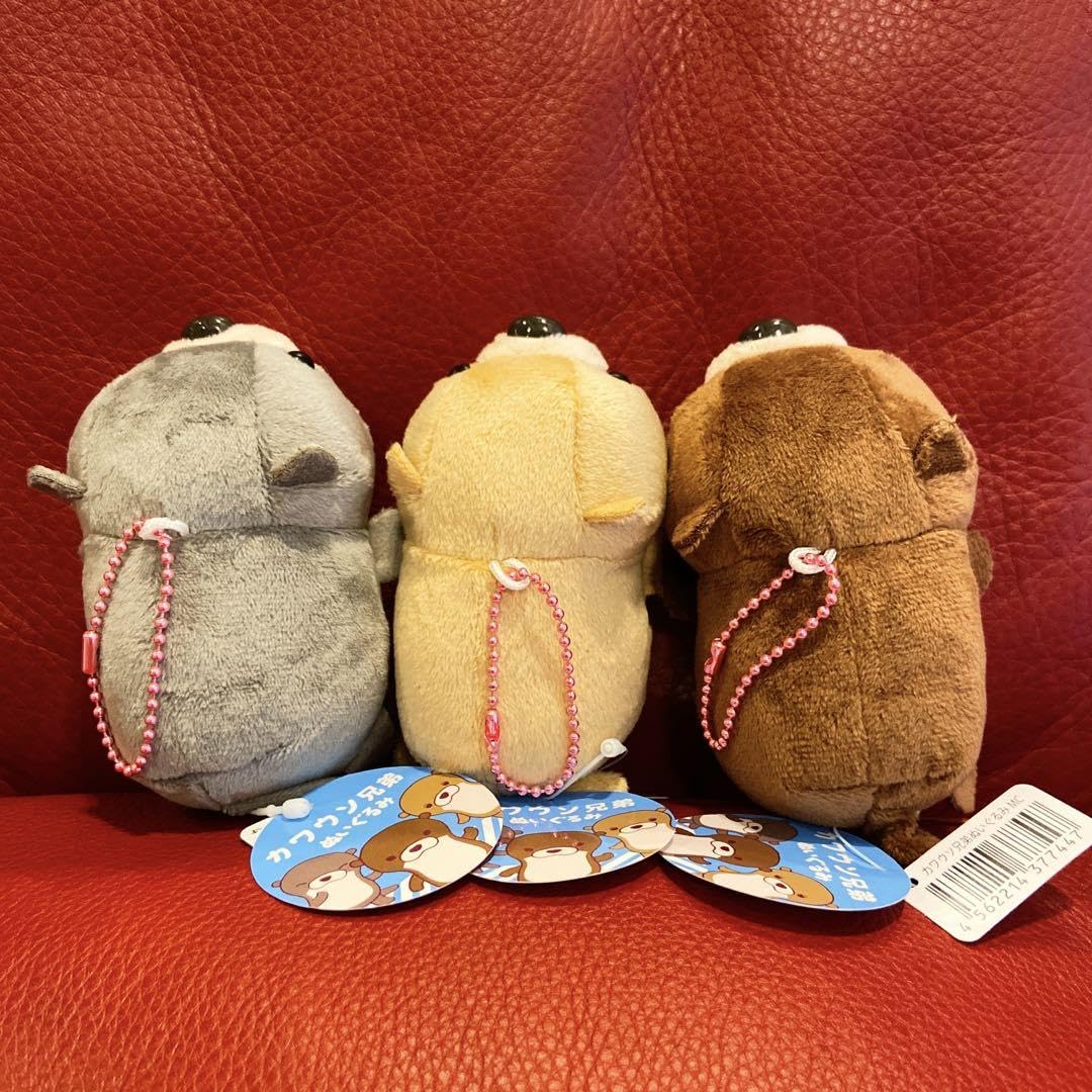 カワウソ三兄弟ぬいぐるみ Amazon.co.jp: カワウソ兄弟 ぬいぐるみ マスコット 全3種セット 約