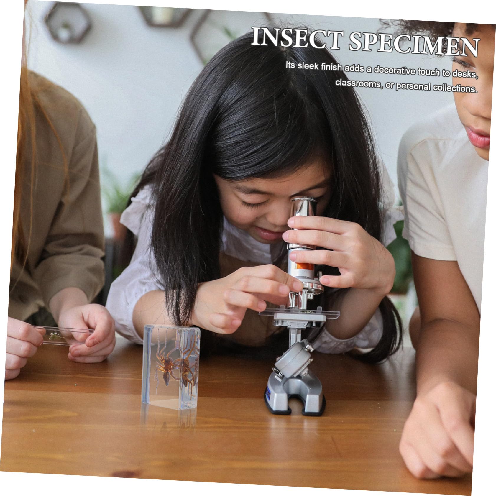 GALPADA 6 Pièces Spécimens Insectes en Résine Science, Presse-papiers Élégant en Résine, Décoration Bureau et Espace de Travail, Collection Éducative Biologique