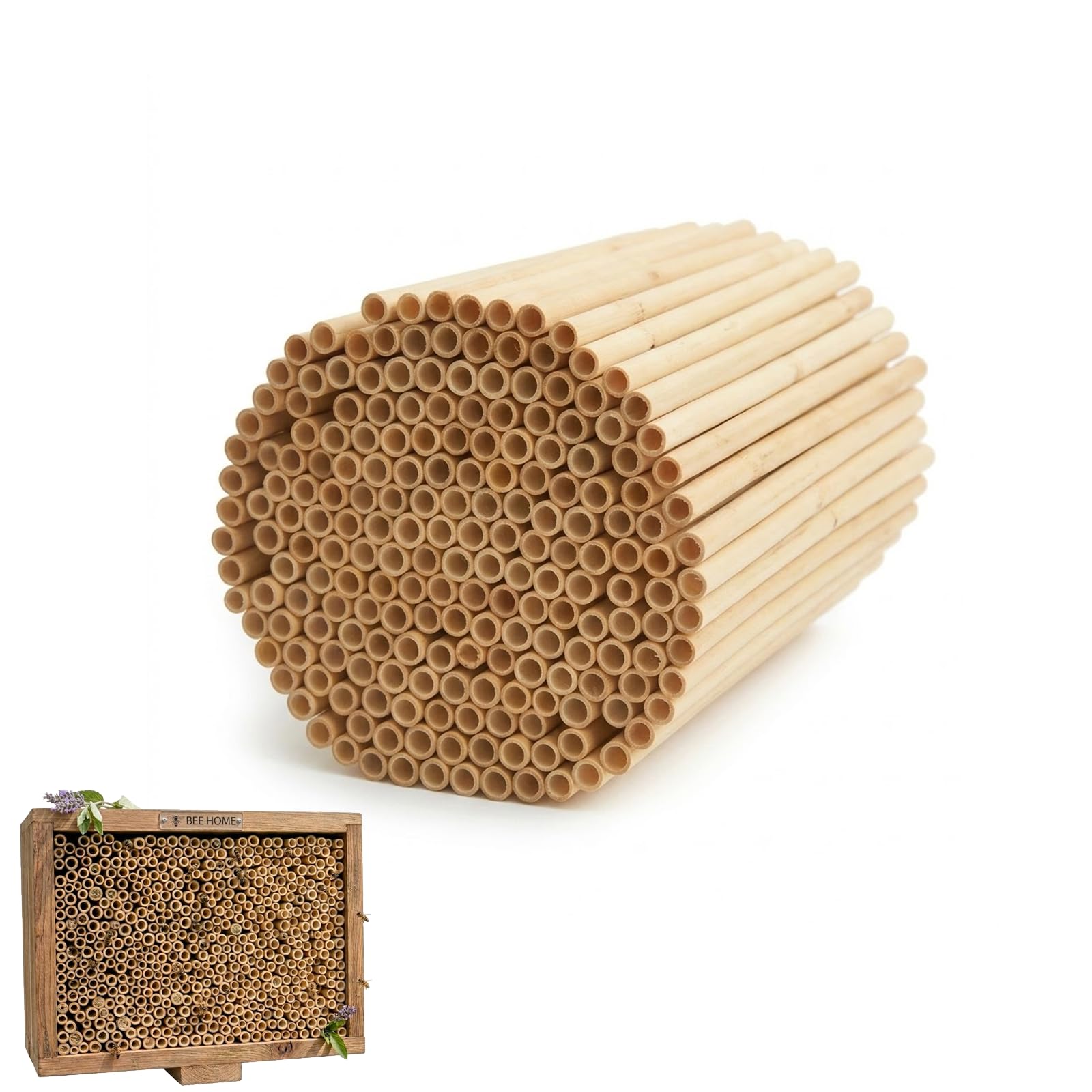 Boîtes à abeilles pollinisatrices Angoily : Créez un hôtel de biodiversité dans votre potager