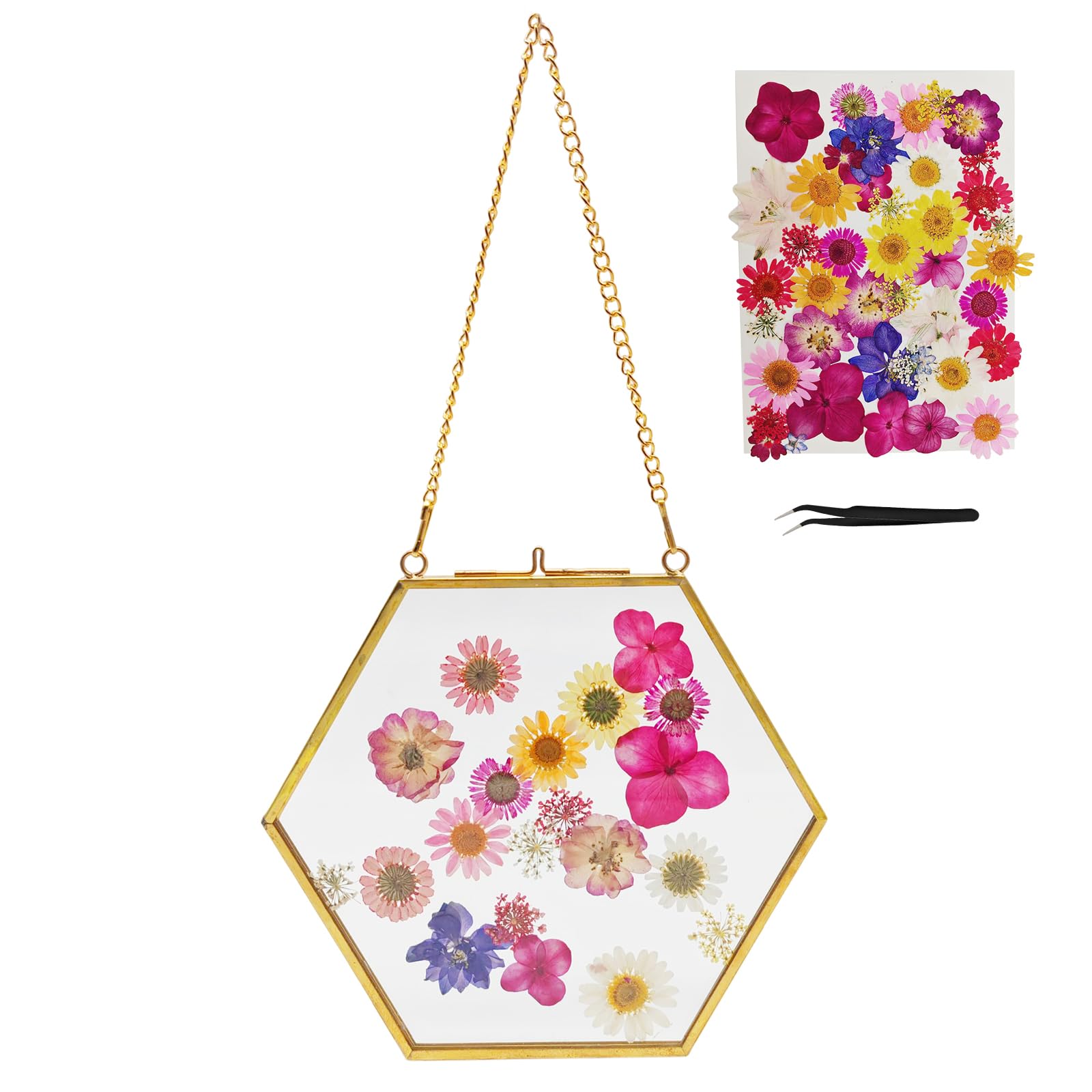 MAIMAIMAO 1 Pack Pressed Flower Glass Frame Golden Hanging Glass Picture Frames w/Real Dried Flowers and Tweezer for Handicrafts, Photo, Plant Specimen or Other Small Flat Items