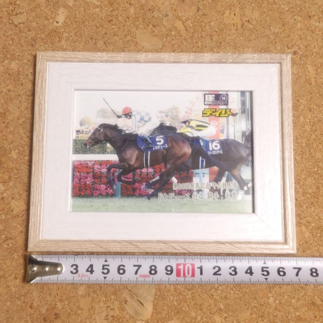 Amazon.co.jp: ドウデュース 有馬記念レース写真パネル デイリー