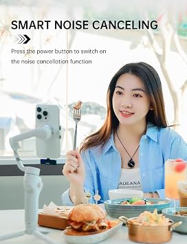 TAKSTAR V2 Wireless Lavalier Mic, 48kHz/16bit, Noise Canceling | 100M Range, 48kHz/16bit Audio, Noise Canceling, 28H Battery Life, Charge While Using, for for iPhone 15/16, Android, DSLR