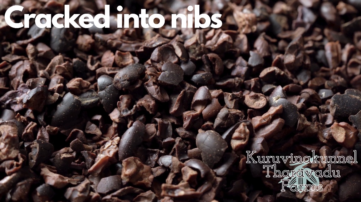 Roasted Cacao Nibs (Organically Grown | Unsweetened | Single