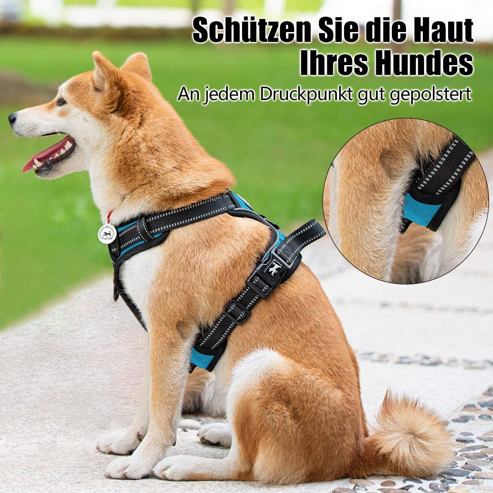 PoyPet No Pull Hondenharnas, reflecterend vestharnas met 2 riembevestigingen en eenvoudige stuurgreep voor kleine en middelgrote honden, oranje, XS, 1 stuk PoyPet No Pull Hondenharnas, reflecterend vestharnas met 2 riembevestigingen en eenvoudige stuurgreep voor kleine en middelgrote honden, oranje, XS, 1 stuk