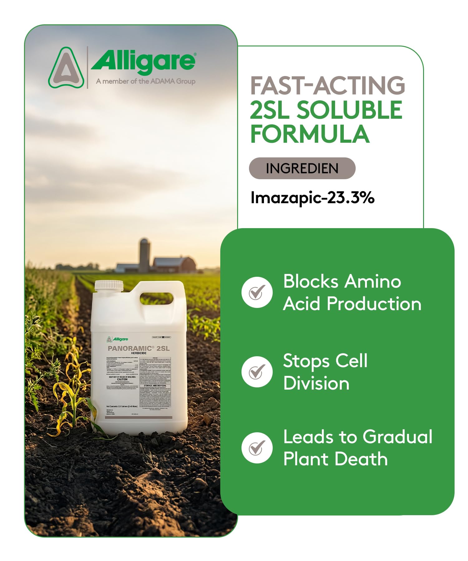Amazon.com : ALLIGARE Panoramic 2SL Herbicide Weed Killer - Versatile  Imazapyr Herbicide for Lasting Control of Annual Grasses & Broadleaf Weeds  in CRP, Pastures, Rights-of-Way & Industrial Sites - 1 Gallon :