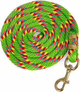 Jeffers Equine Poly Horse Lead Rope, 5/8" x 8, Heavy Duty, Durable Lead Rope with Bolt Snap, Rust Resistant Brass Hardware for Horses - Training, Grooming, Equestrian Accessories - Light Green