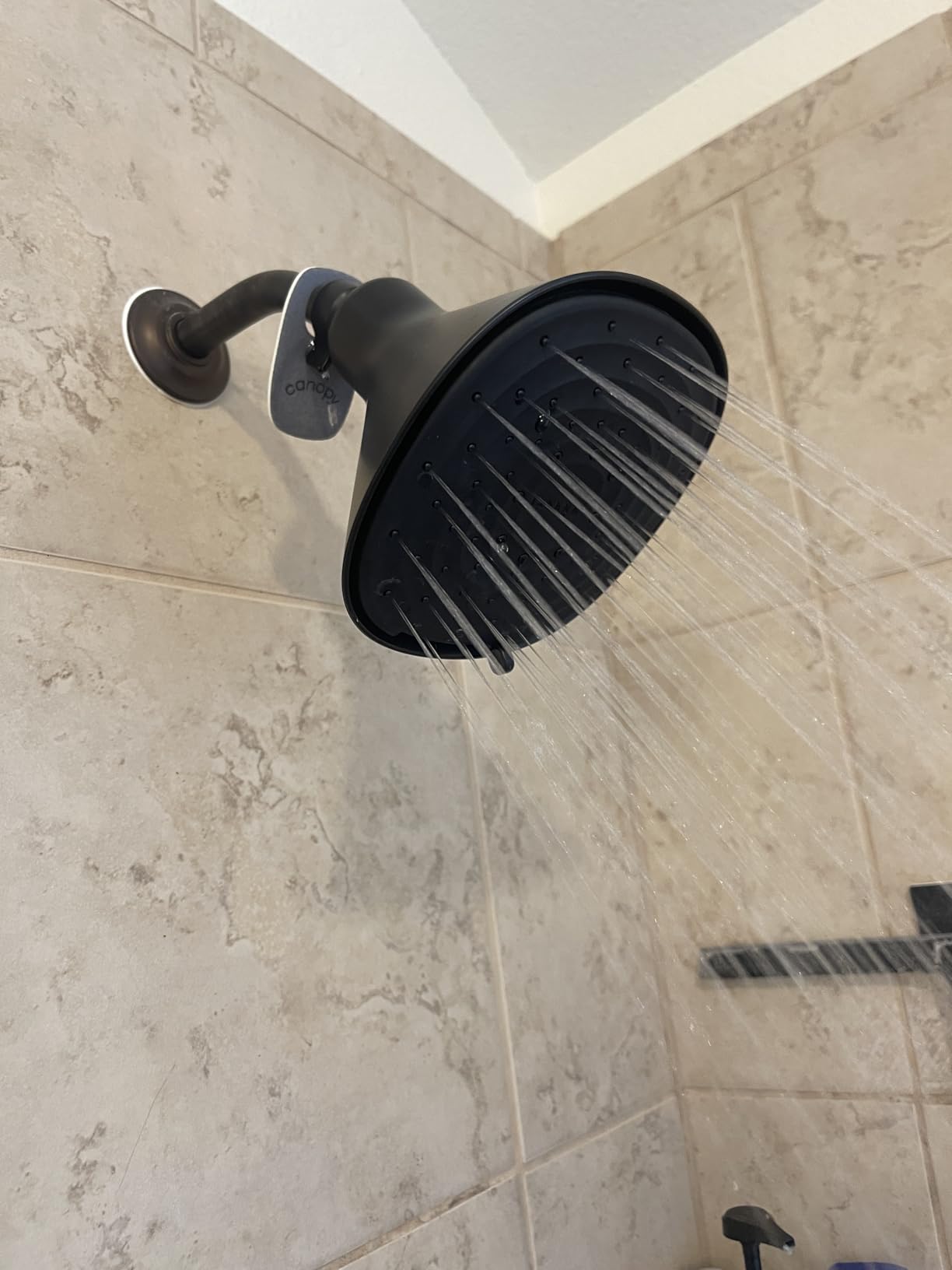 Canopy Filtered Showerhead in a walk-in shower
