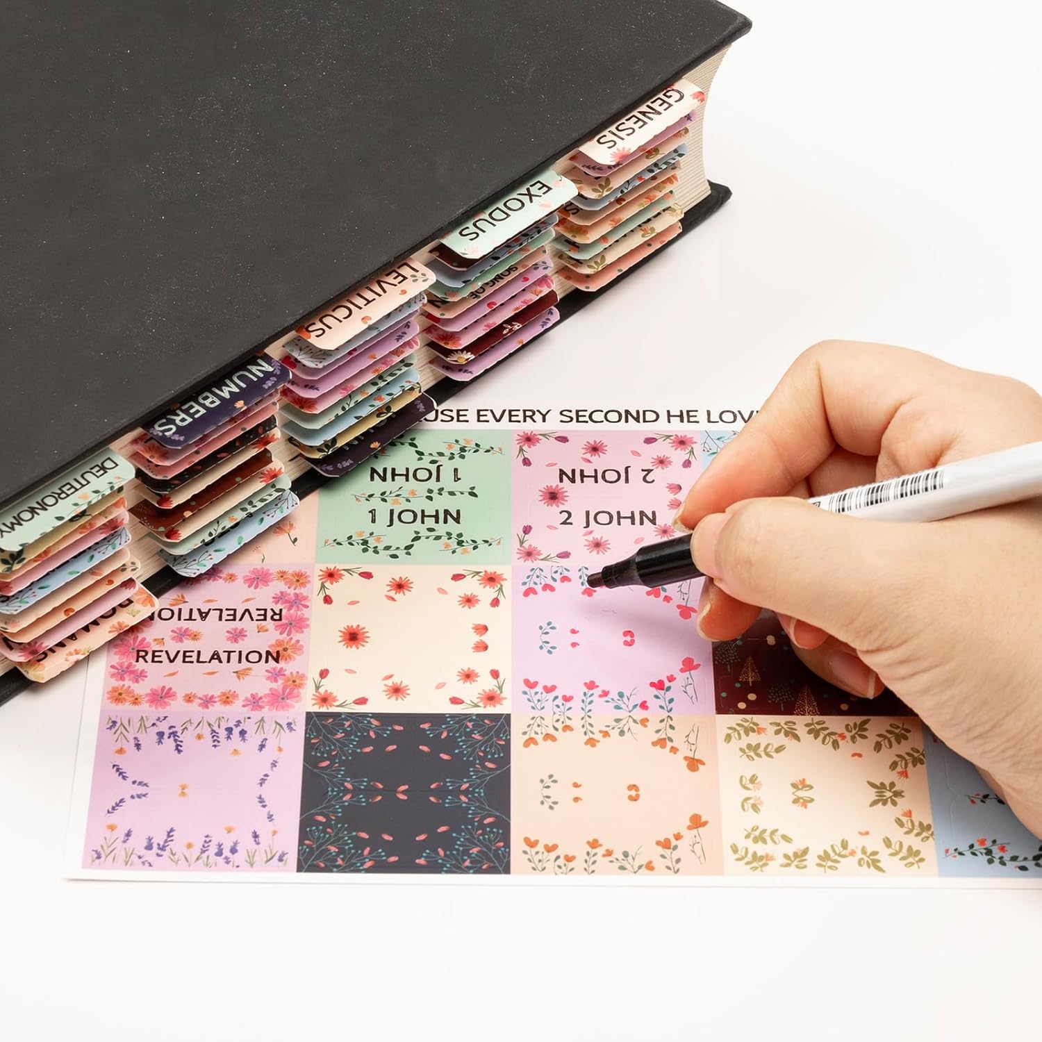 Lumintutu Laminated Bible Tabs, Large Print Bible Study Journaling Supplies, Christian Gift for Women and Men, Index Tabs for Old and New Testament, She Reads Truth Bible (Pastel Bloom)