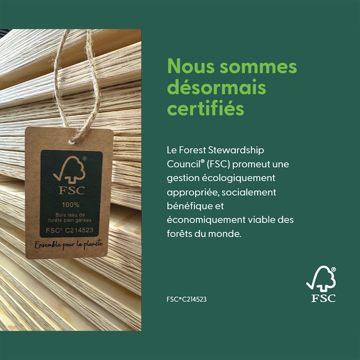 smartwood Lit Enfant 70x140 cm Lit Montessori au Sol - Bois Certifié FSC avec Barrière et Sommier à Lattes Jusqu’à 230 kg - Montage Facile - pour Garçon et Fille - Tila 6