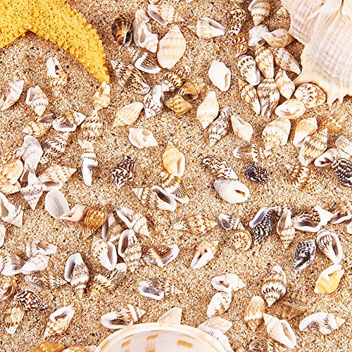 Ph Pandahall 1400-1500Pcs Sea Shell Beads 7-12Mm Tiny Crushed Shells Miniature Shells No Hole Seashells Ocean Spiral Seashells For Resin Candle Home Party Wedding Fish Tank Vase Filler #TOP7