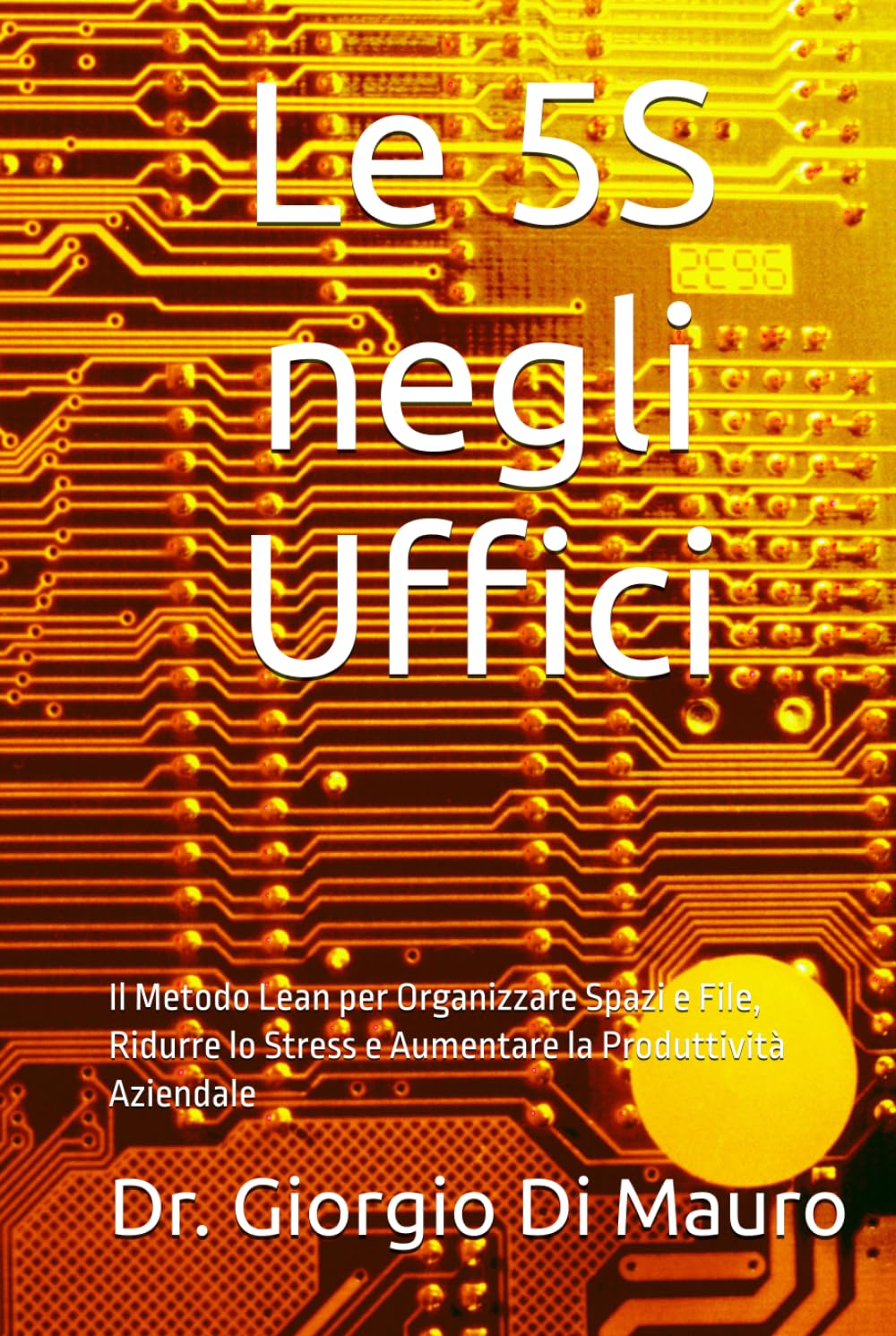 5S negli Uffici: Il Metodo Lean negli Uffici per Organizzare Spazi e File, Ridurre lo Stress e Aumentare la Produttività Aziendale (Le 5S)