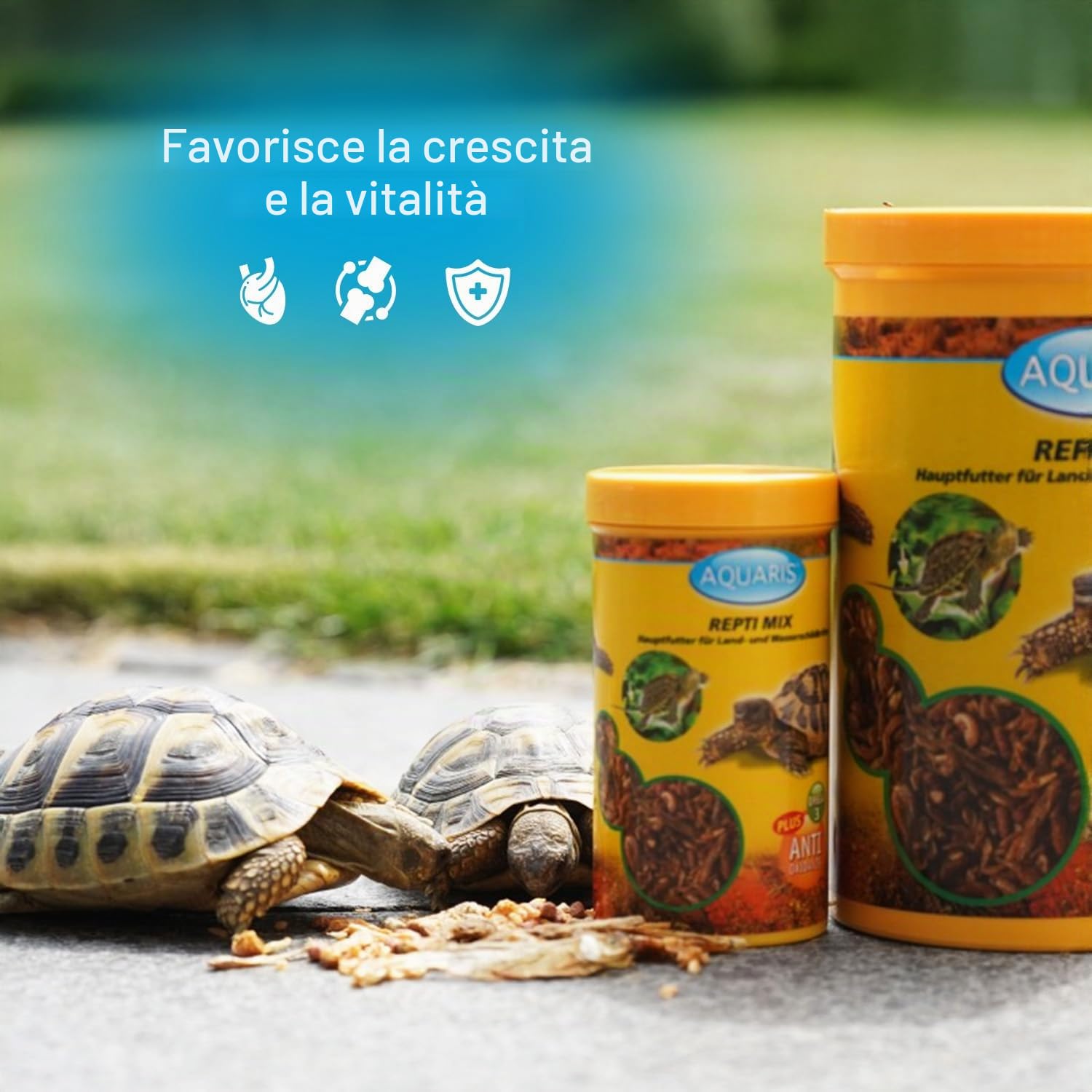 AQUARIS Repti Mix Mangime Naturale per Tartarughe d’Acqua – 220 g / 1 L – Ricco di Proteine, Facile da Digerire, Favorisce Carapace e Ossa Forti. Miscela di gammarus, gamberetti