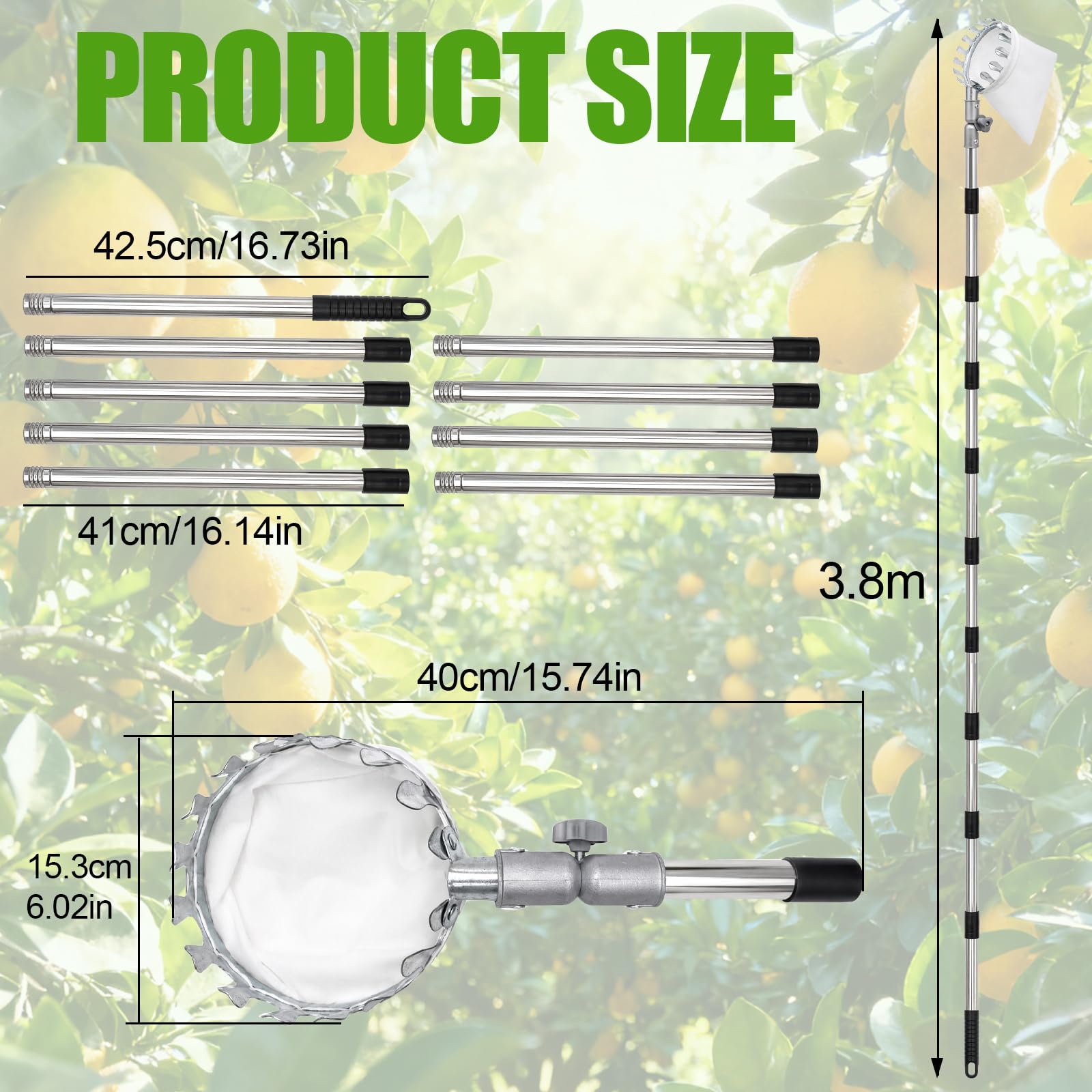 Raccogli frutta con asta di prolunga in acciaio inox, lunghezza regolabile fino a 3,8 m, diametro 16 cm, per prugne e ciliegie
