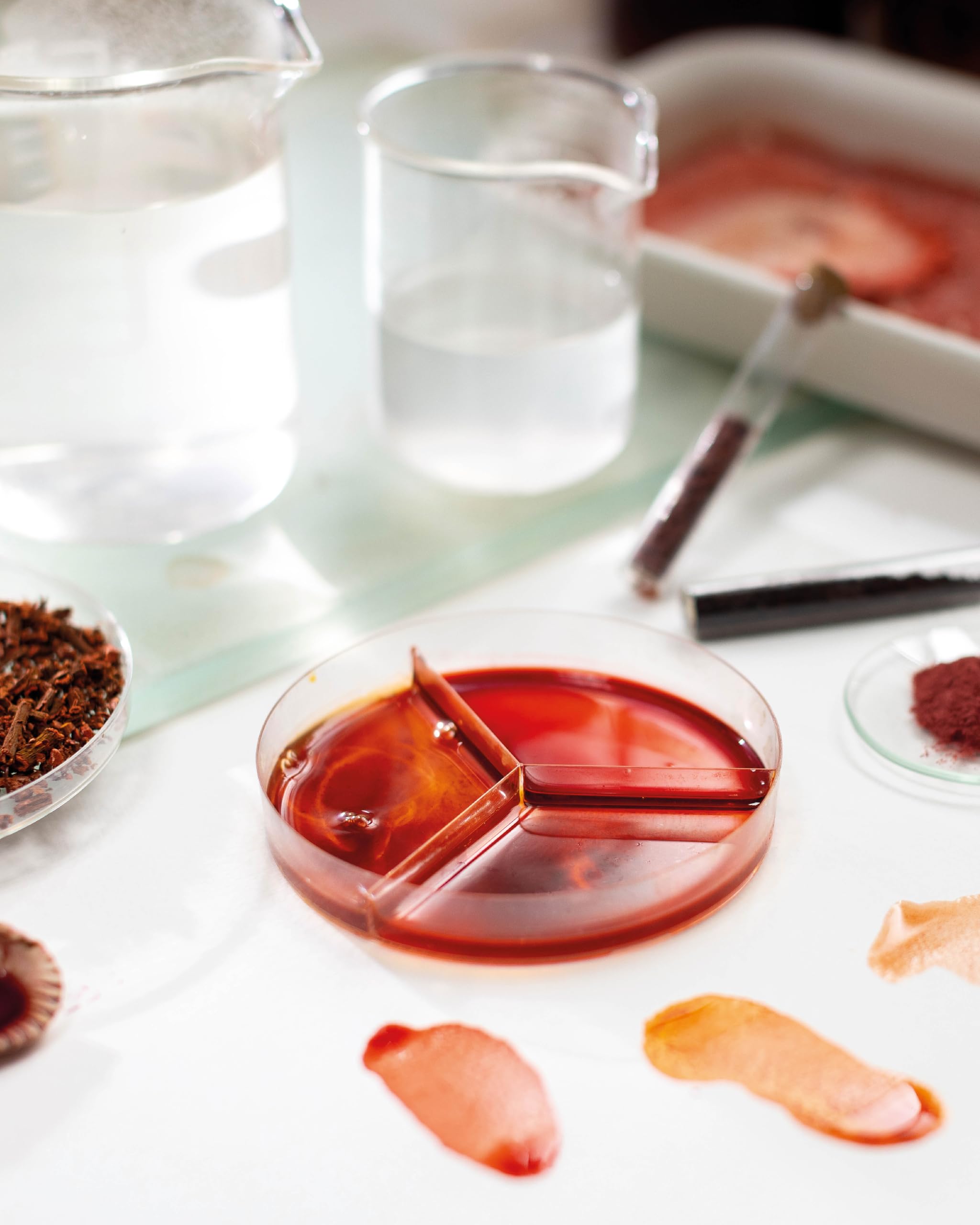 The Natural Pigment Handbook: A Maker’s Guide to the Art, Stories and Recipes for Creating Paint