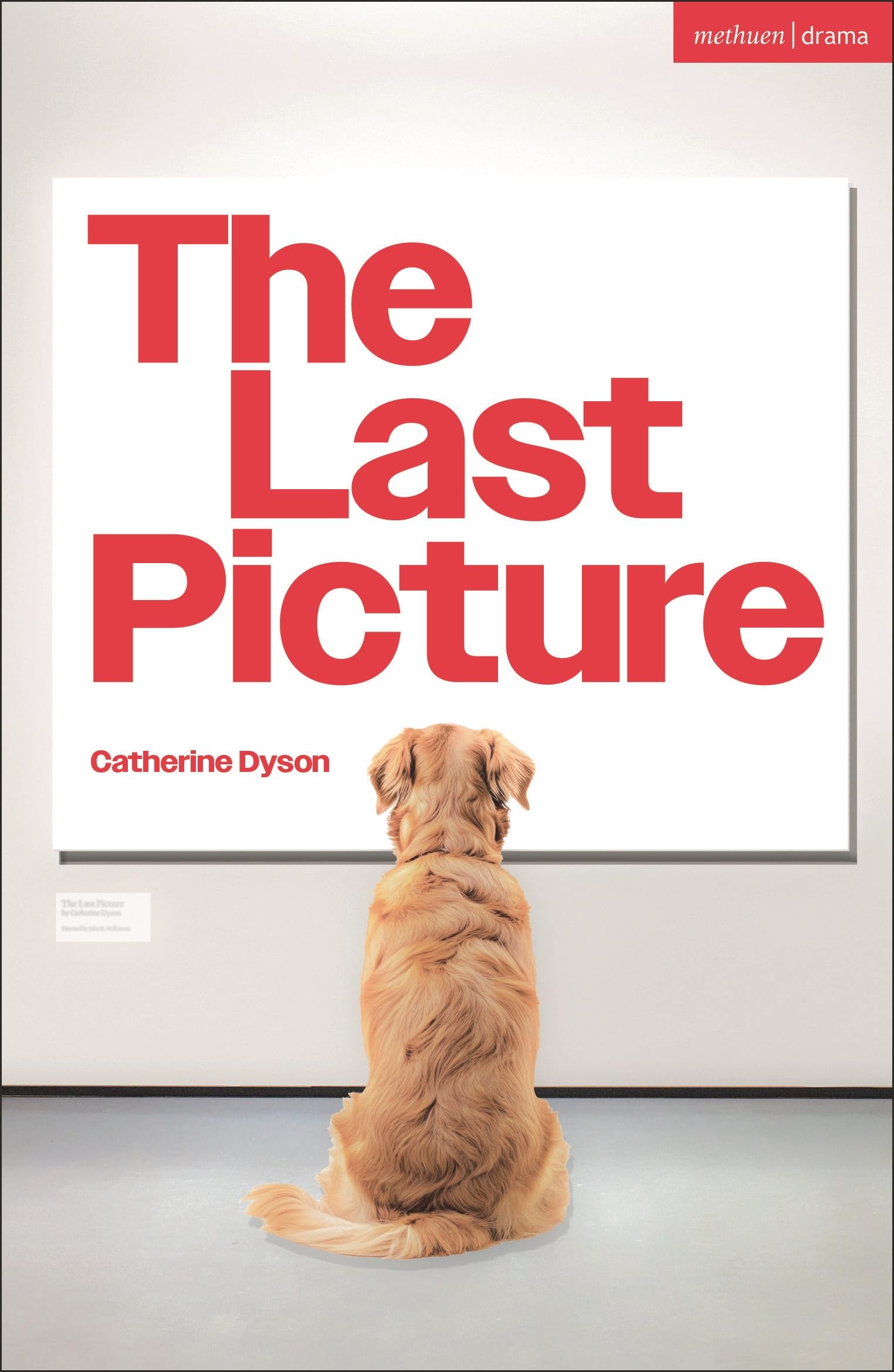 The Last Picture (Modern Plays)