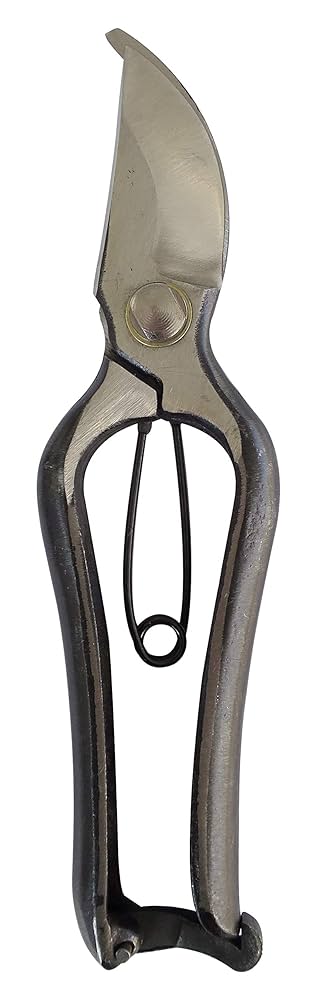 剪定鋏２００mm　２４本セット Amazon | 鳳力 本鍛造剪定鋏 200MM 園芸用はさみ、庭木の剪定