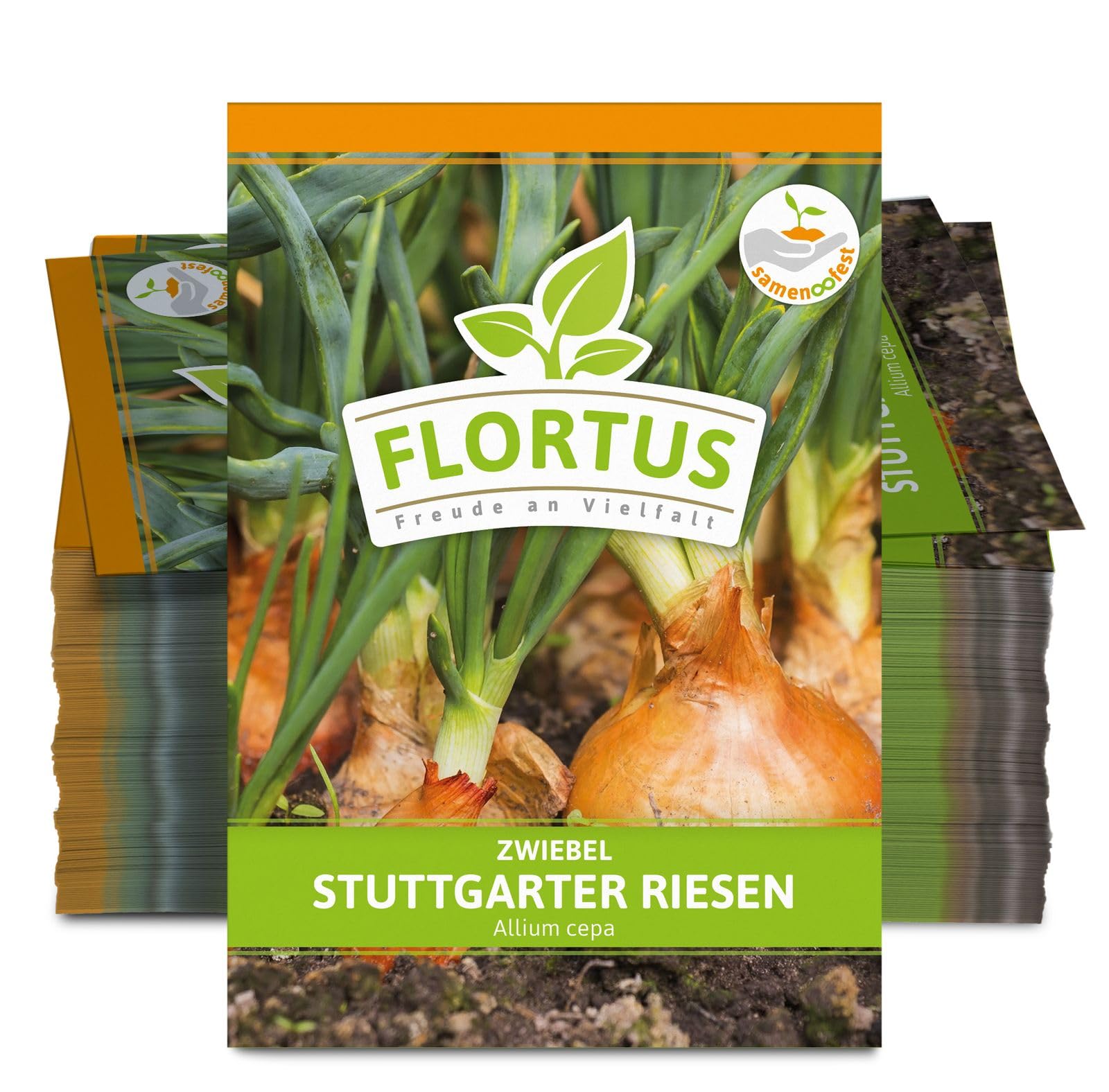 FLORTUS 2000-0490-100x Zwiebel Stuttgarter Riesen (100 Stück) (Zwiebelsamen)