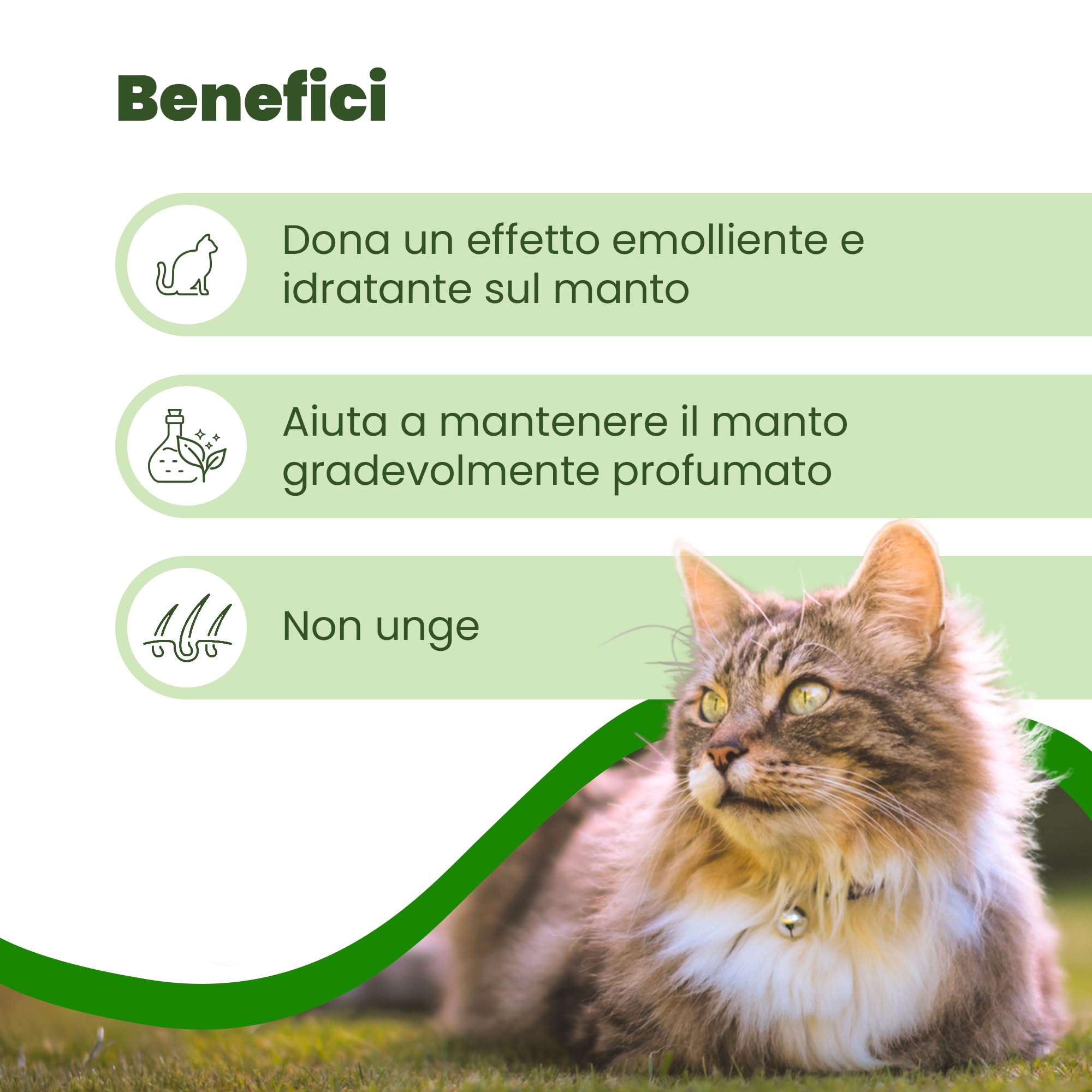 CAMON | Spot-On Protection Gatto, 5 Fiale da 2ml con Olio di Neem e Aminoacidi, Protezione Naturale