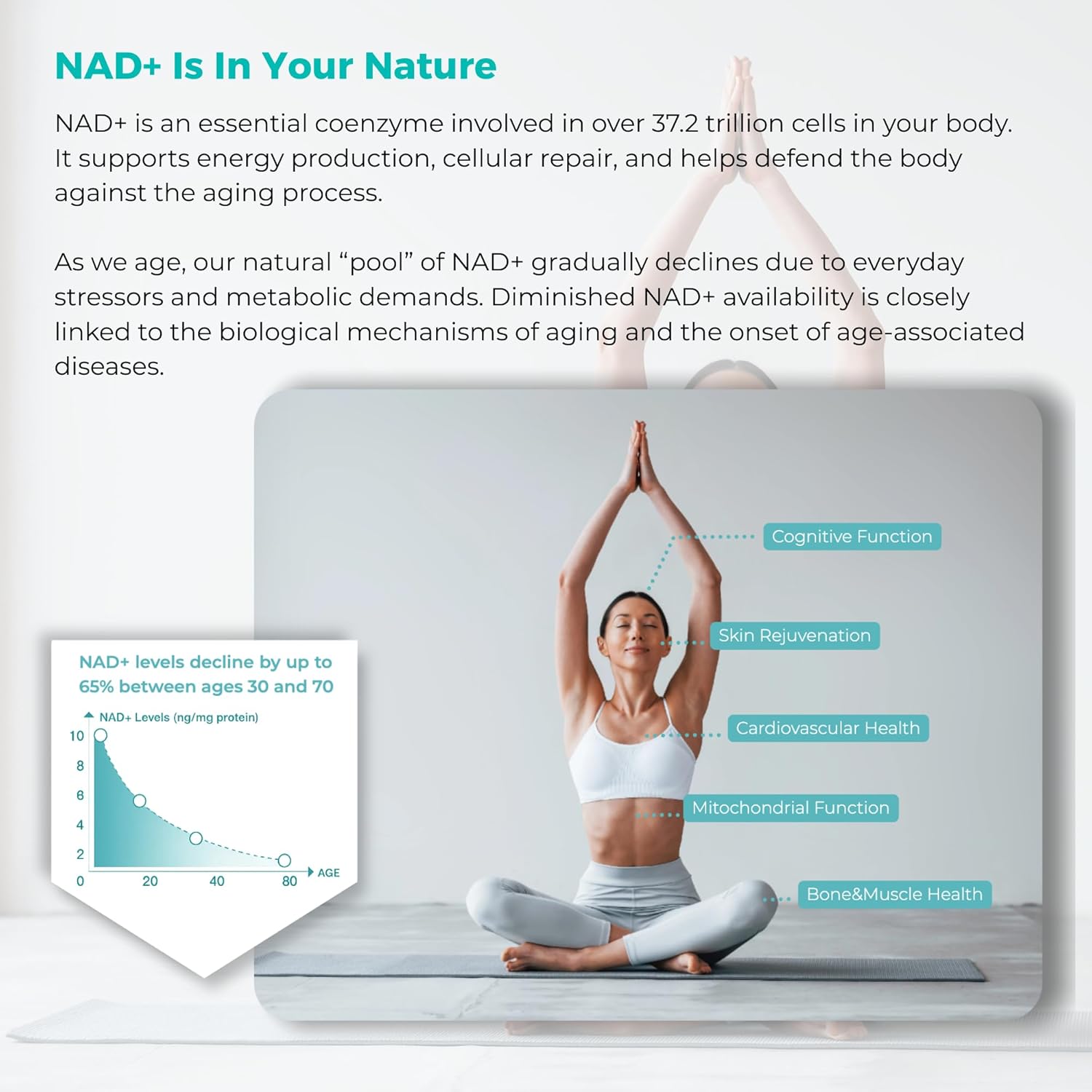 NR1000 NAD+ Supplement – NMN Supplement Alternative,-Energy & Focus Support – Nicotinamide Riboside + Resveratrol Formula – Vegan, Non-GMO, Premium Quality – 60 Capsules - Image 6