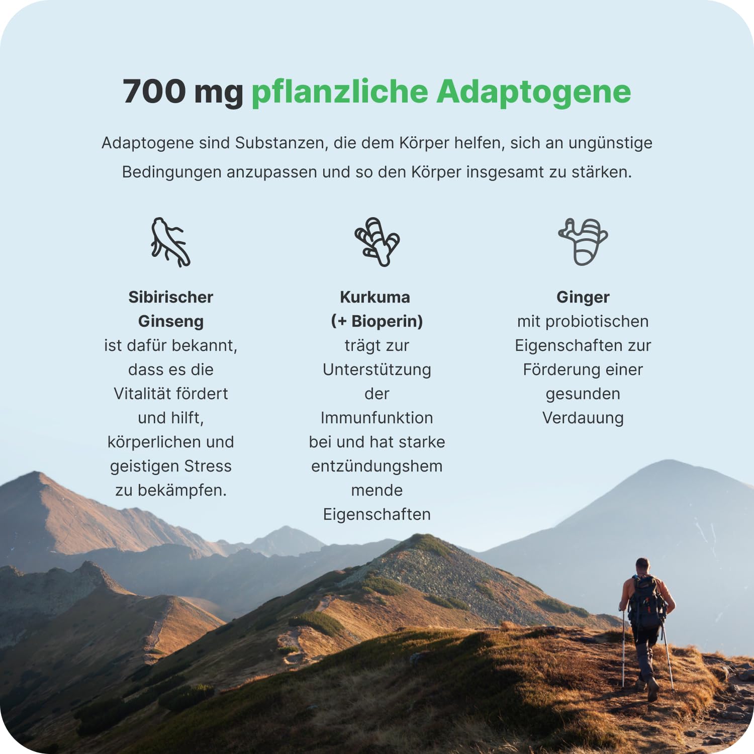 Vilgain Greens Mix (300 g) Lemonade – 13 Aktive Inhaltsstoffe Mit Bio Superfoods, Veganer Super Greens Drink Pulver Mit Chlorella, Spirulina & Matcha, Natürliche Elektrolyte & Energie Ohne Zucker