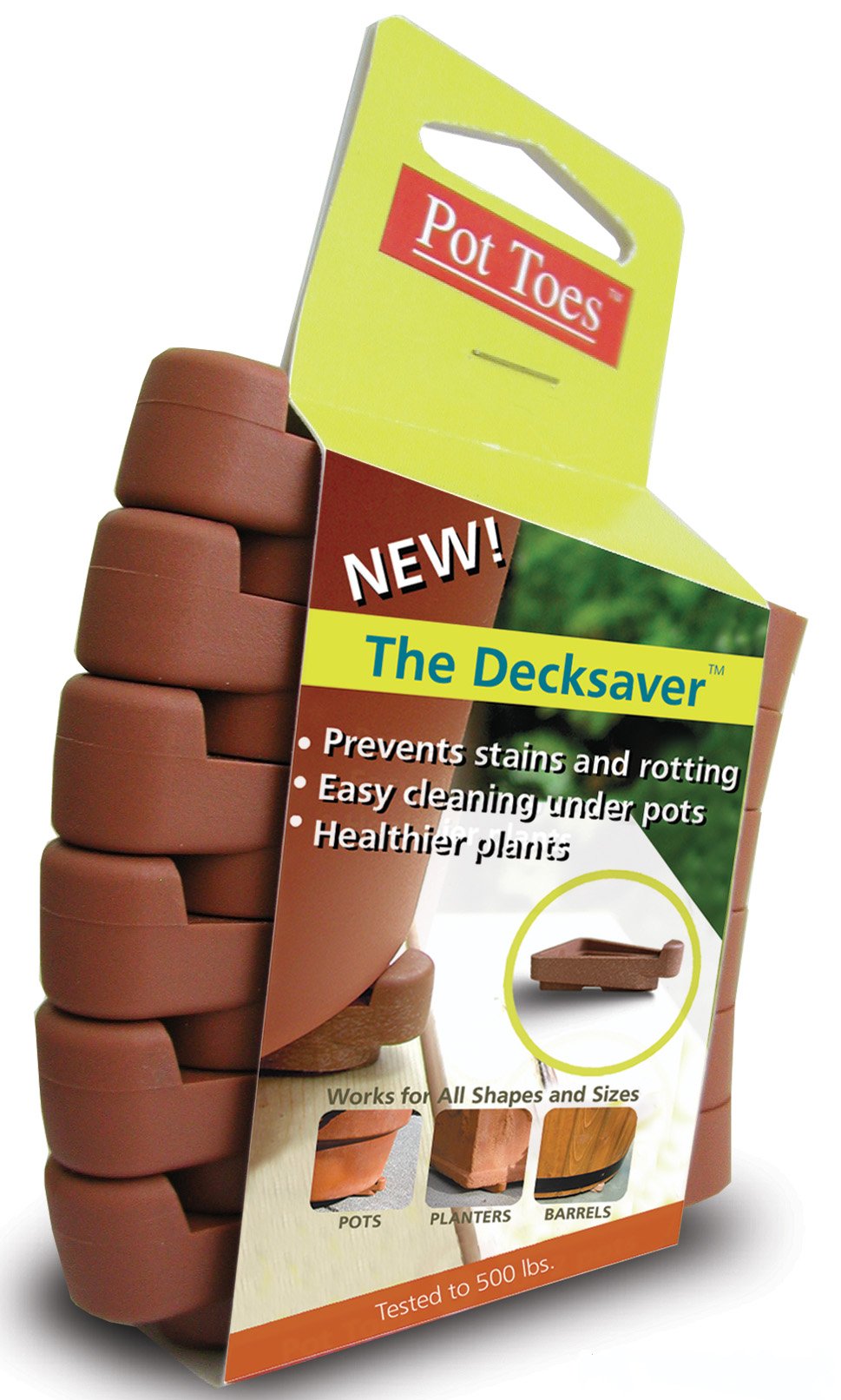 Novelty Pot Toes Set Of 6 Color Terracotta | Desertcart Gibraltar