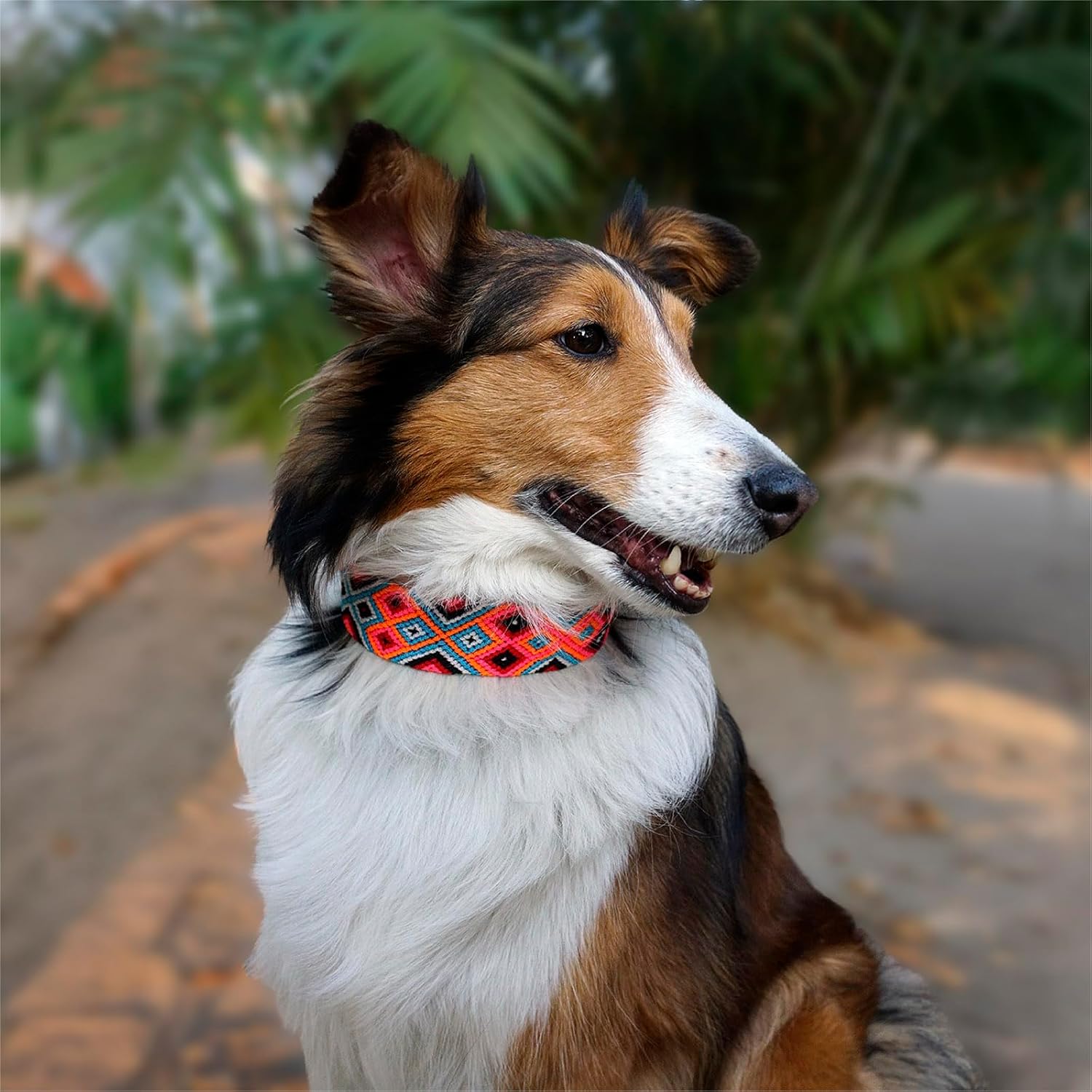 Eternia Premium Leather Dog Collar - Adjustable Handcrafted Collar for Small to Large Dogs (Pink/Orange, M)