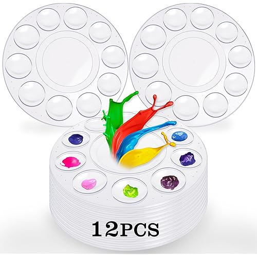 Hulameda Paint Tray Palettes, Plastic Paint Pallets for Kids or Students to Paints on School Project or Art Class-12pcs,Clear