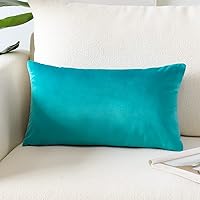 Vista 52 de Artscope Fundas de Almohada de Terciopelo de Lujo Fundas de Almohadas Cuadradas Decorativas Fundas de Cojines Suaves Sólidas para Sofá de Sala Sofá