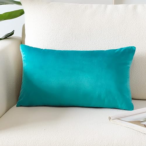 Artscope Fundas de Almohada de Terciopelo de Lujo Súper Suaves Decorativas Cuadradas Fundas de Cojín Decorativo para Sofá Sofá Dormitorio Decoración