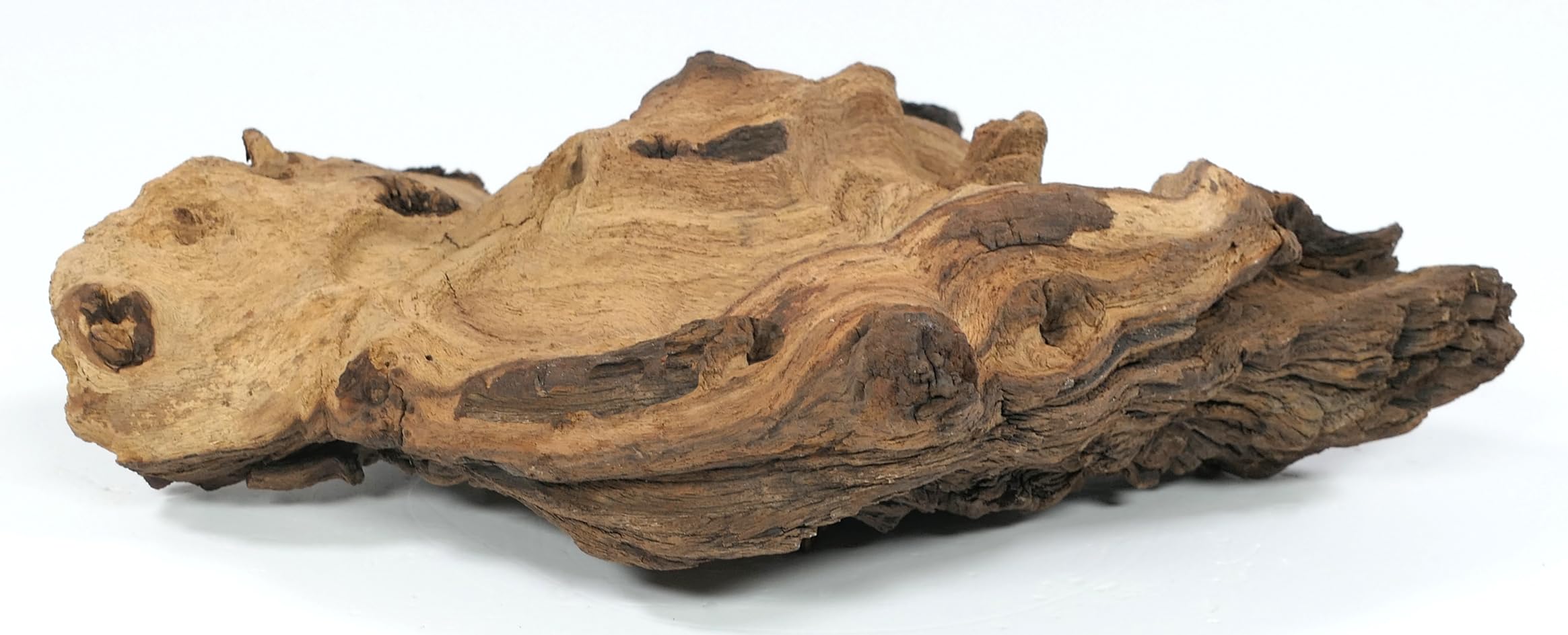 Radice Mopani Per Acquario - Taglia L (30-40 Cm), Decorazione Natural Per Aquascaping - Foto 10