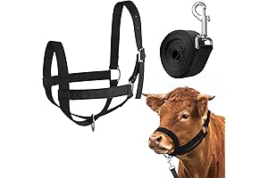 Hillban Cow Halters: The Essential Cattle Management Solution