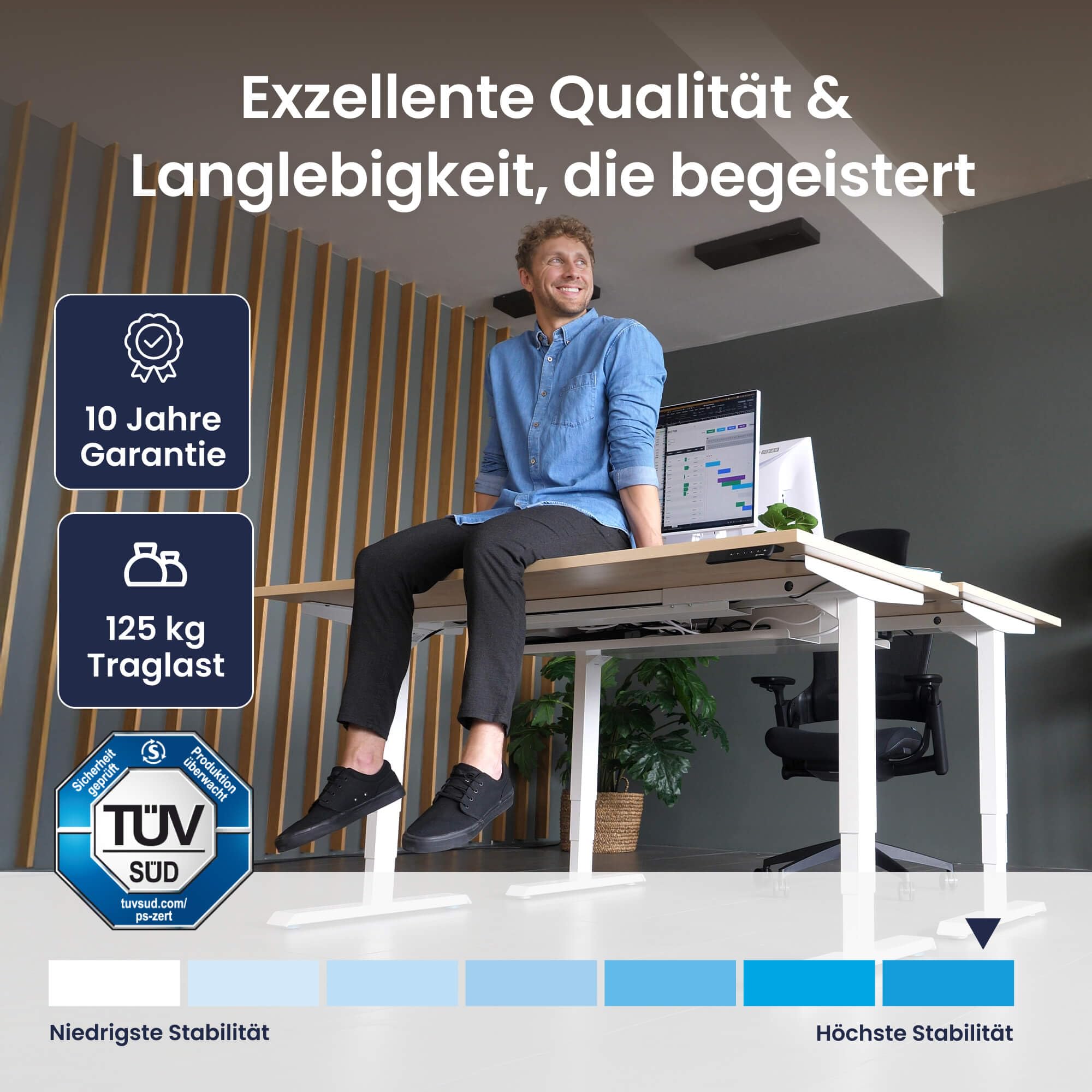 Ergotopia Desktopia Pro X Elektrisch höhenverstellbarer Schreibtisch, Ergonomischer Stehtisch für Büro oder Home Office (Ahorn, Gestell Grau, 180 x 80 cm)
