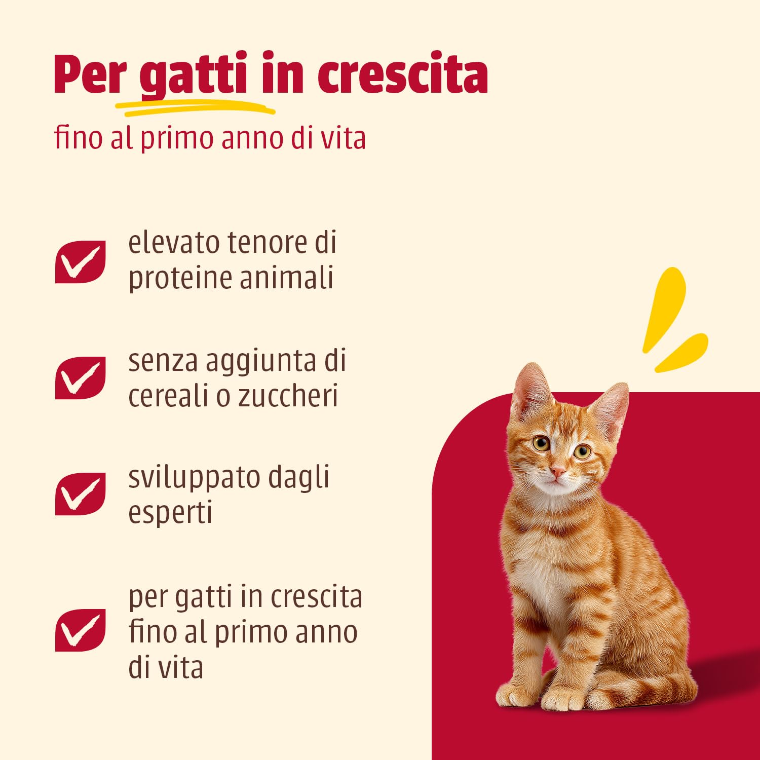 animonda Carny Kitten, cibo umido per gatti, Cocktail di Pollame 12 x 400 g