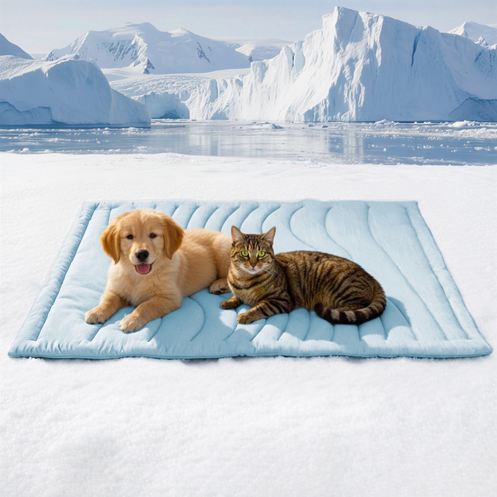Photo 1 of BECEMURU Cooling Mat for Dogs, Q-MAX>0.46, Blue Rectangle