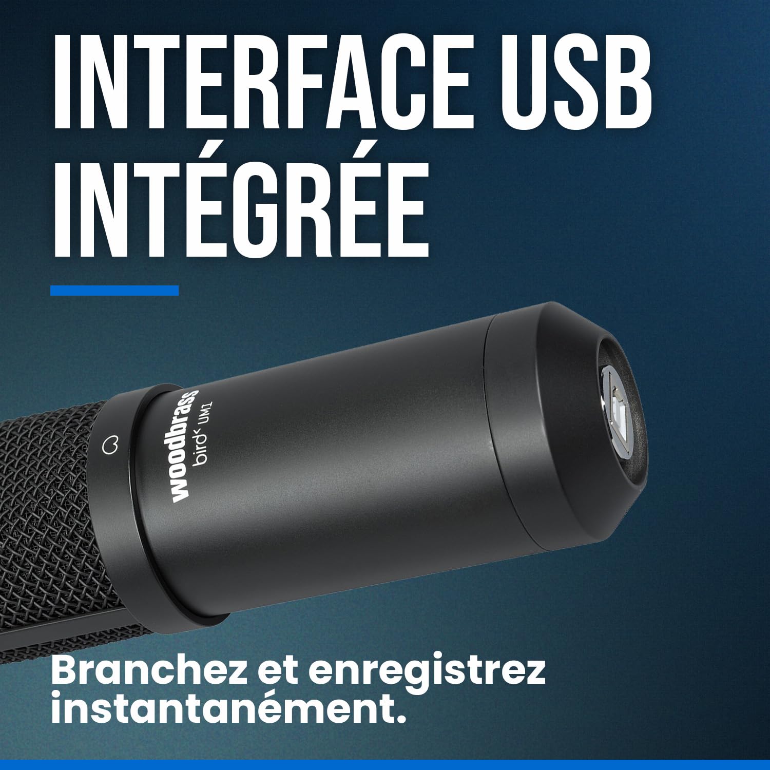 Bird Woodbrass UM1 Noir - Microphone USB Cardioïde à Condensateur PC et Mac pour Broadcast et Enregistrement Streaming, Podcasting, Conférence, Home Studio Mao, Voix Off