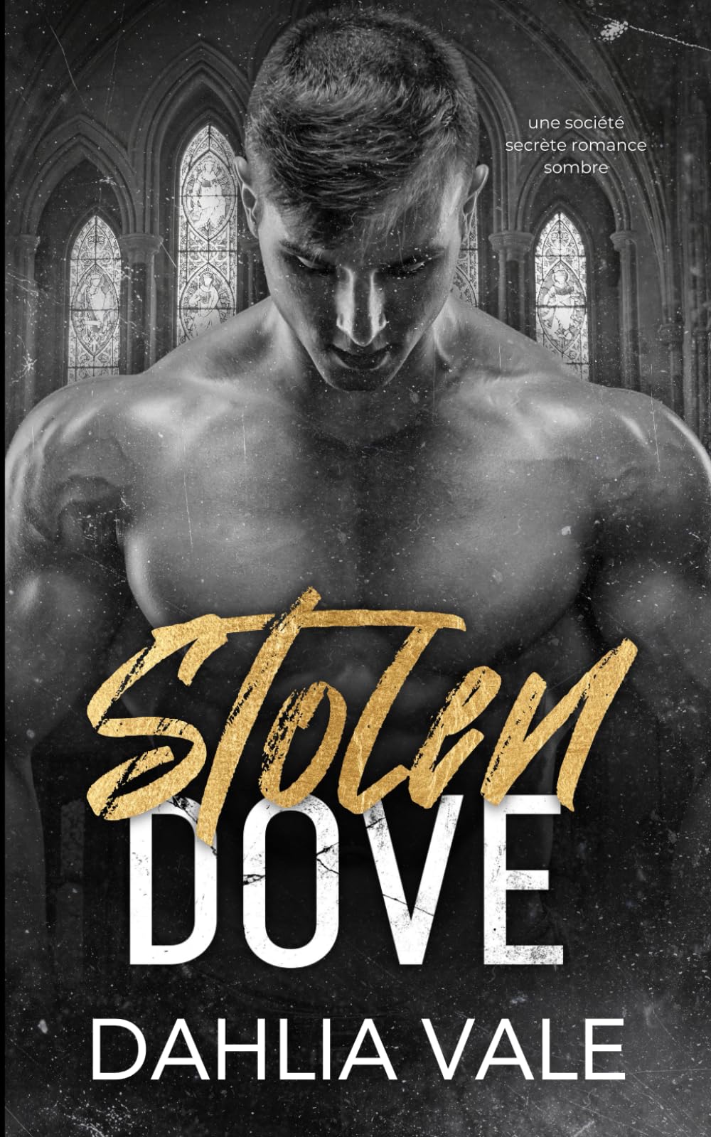Stolen Dove: UNE ROMANCE DANS UNE SOCIÉTÉ SECRÈTE ET SOMBRE (Les milliardaires de l'ombre)