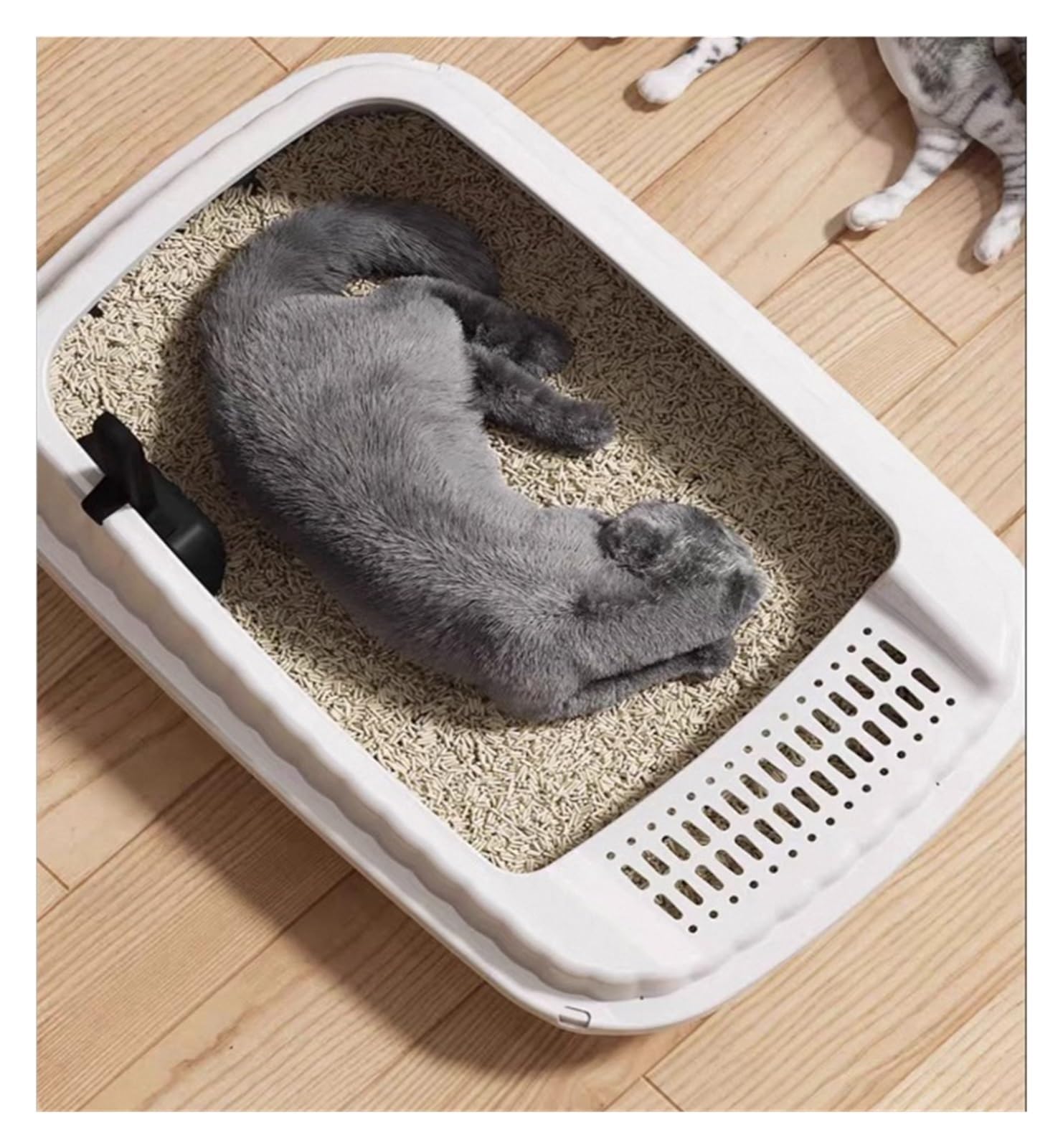 Halbgeschlossene Katzentoilette mit abnehmbarem Löffel katzenklo