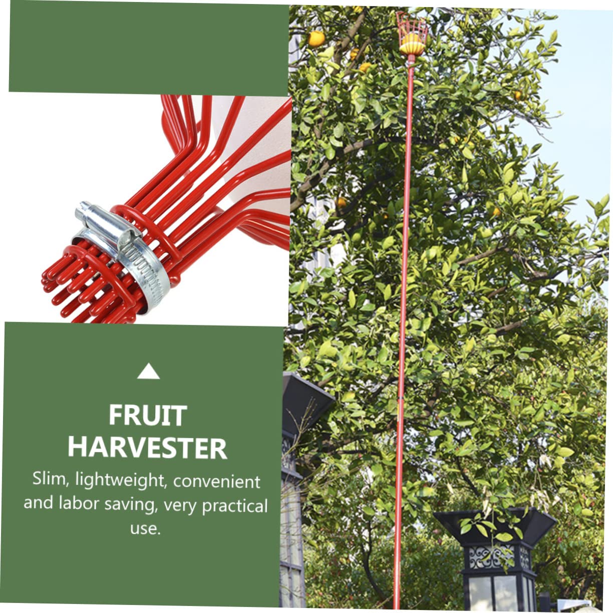 2pezzi Raccoglitore Di Frutta Attrezzo Agricolo Per Giardinaggio Dispositivo Di Raccolta Multifunzionale Realizzato in Materiale Robusto e Durevole Adatto a Vari Tipi Di Frutta Com