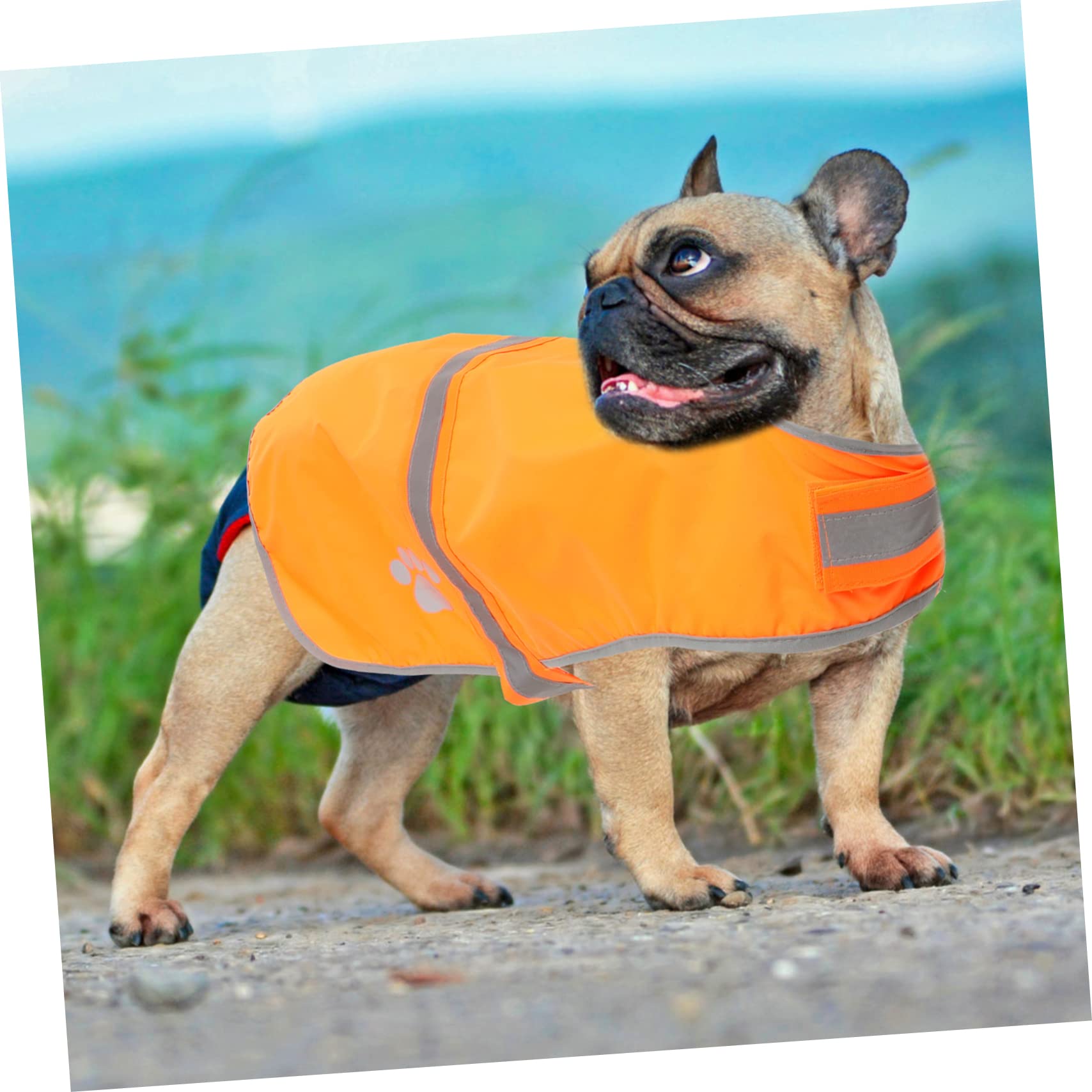 FRCOLOR 3stücke Hundeweste Mit Reflektierenden Elementen Fluoreszierende Anpassbare Hundeweste Für Outdoor-aktivitäten Sichtbarkeit Und Für Kleine Hunde Wasserdichtes Oxford-Material
