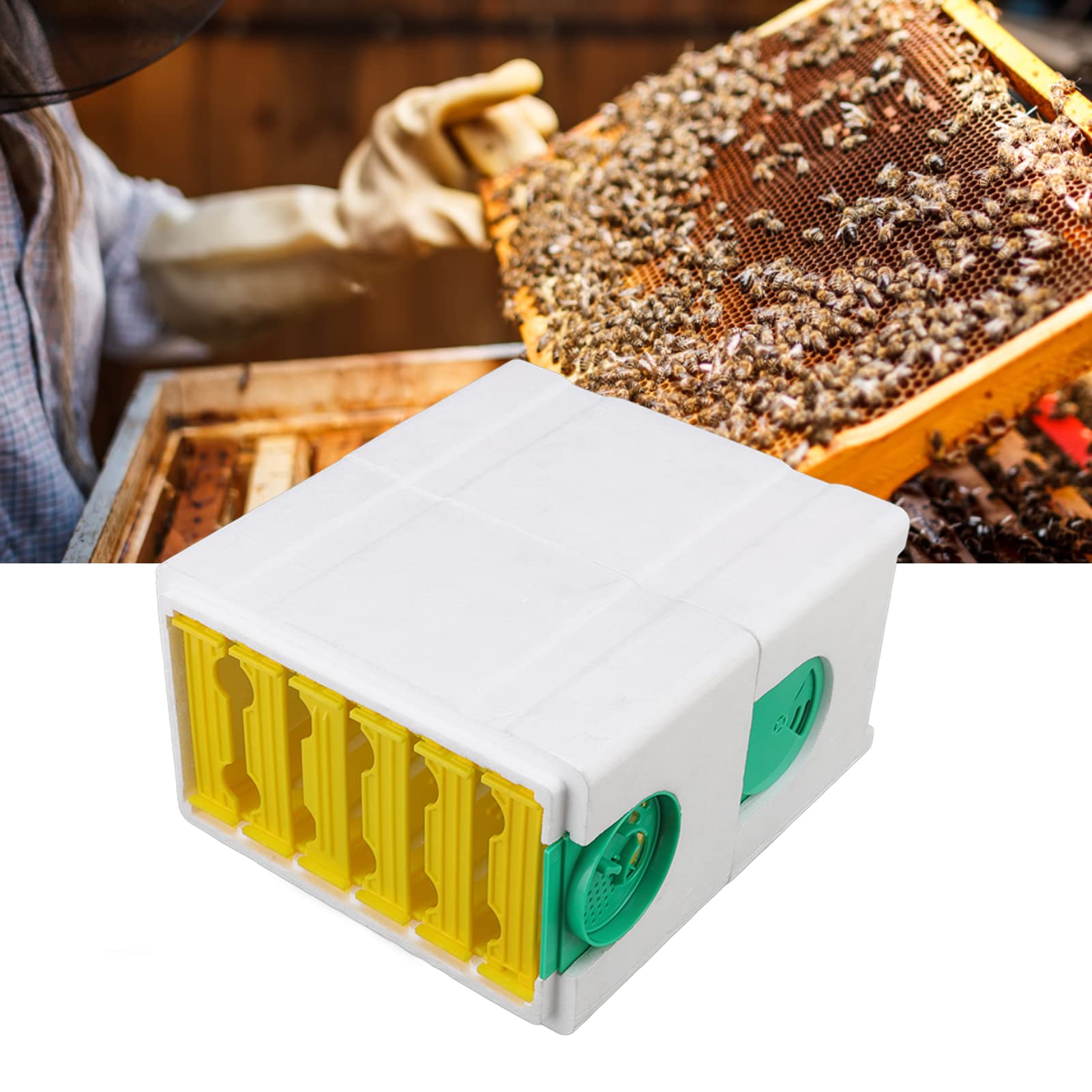 Boîte d'élevage d'abeilles à Double Couche, Cadre en Mousse, Outil apicole, matériel d'apiculture
