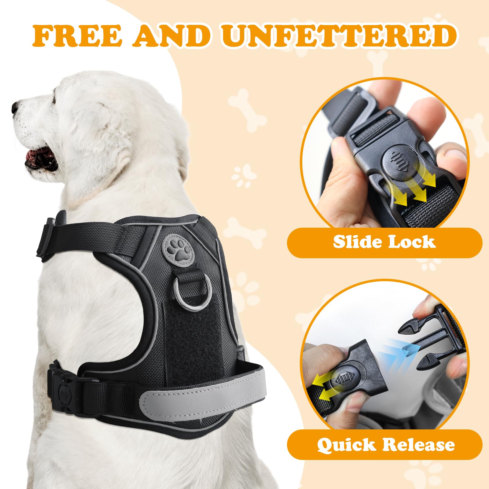 View 2