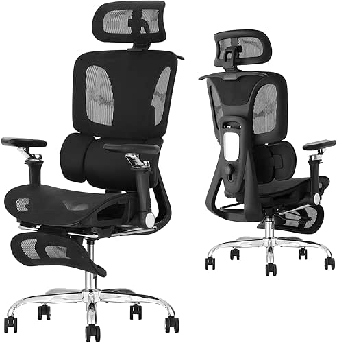 Ergonomic Office Chair with 3-Zone Dynamic Lumbar Support, Big and