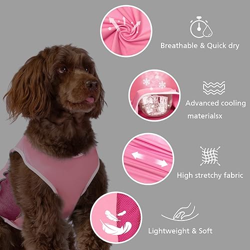 Miniatura 8 de Camiseta para perro con protección solar UPF 50+, camisetas para fanáticos de los deportes para perros pequeños, niños y niñas, camisetas