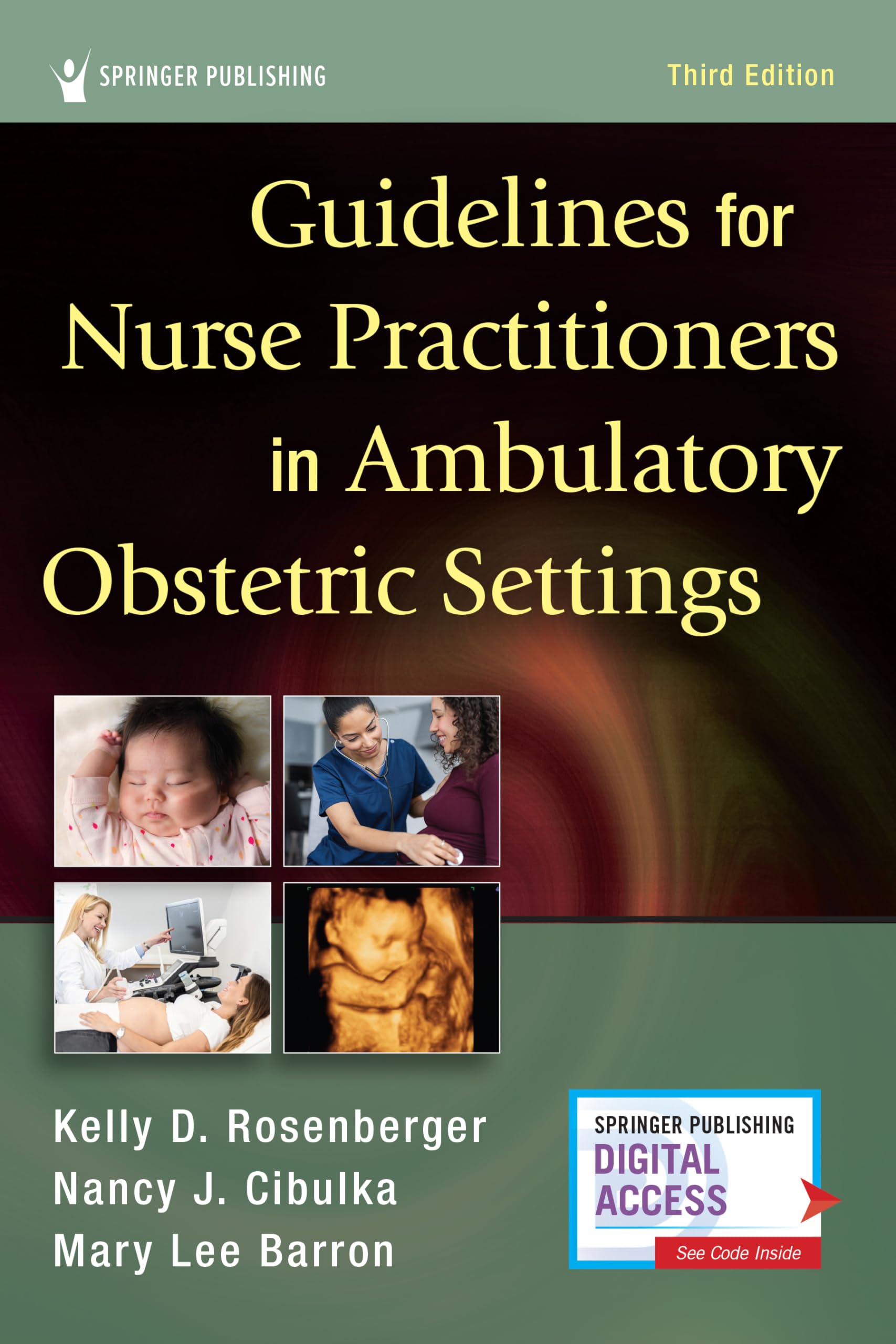 Buy Guidelines for Nurse Practitioners in Ambulatory Obstetric Settings — BookShops.in