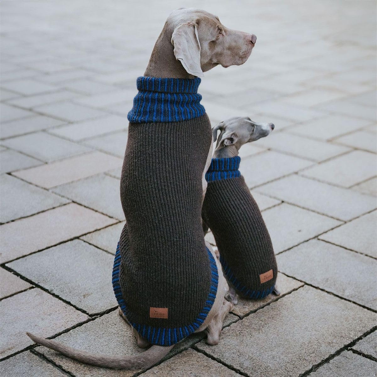 Hunter Hundepullover Odense, Strickpullover für Hunde, weich & elastisch, mit hohem Kragen, Partnerlook mit Mütze, waschbar, Farbe: braun/blau, Größe: 50